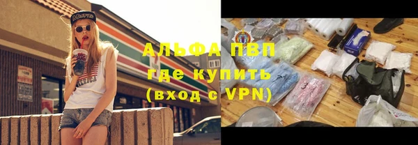 индика Аркадак