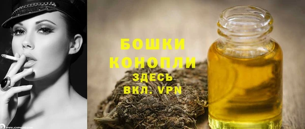 индика Аркадак