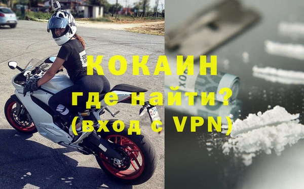 индика Аркадак